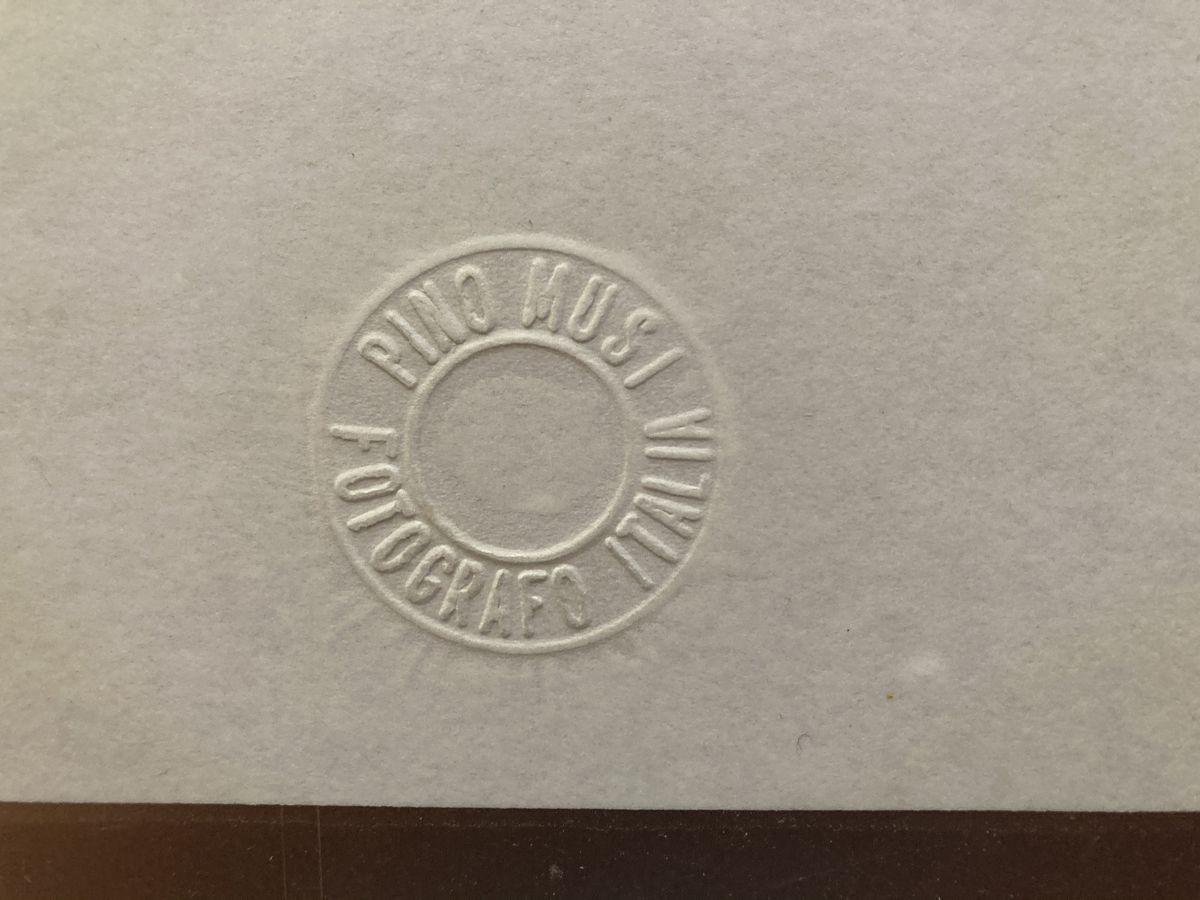 Pino Musi - Libro XXIX (libro dei Morti. Tebe, Egitto, i Secolo a.C.)