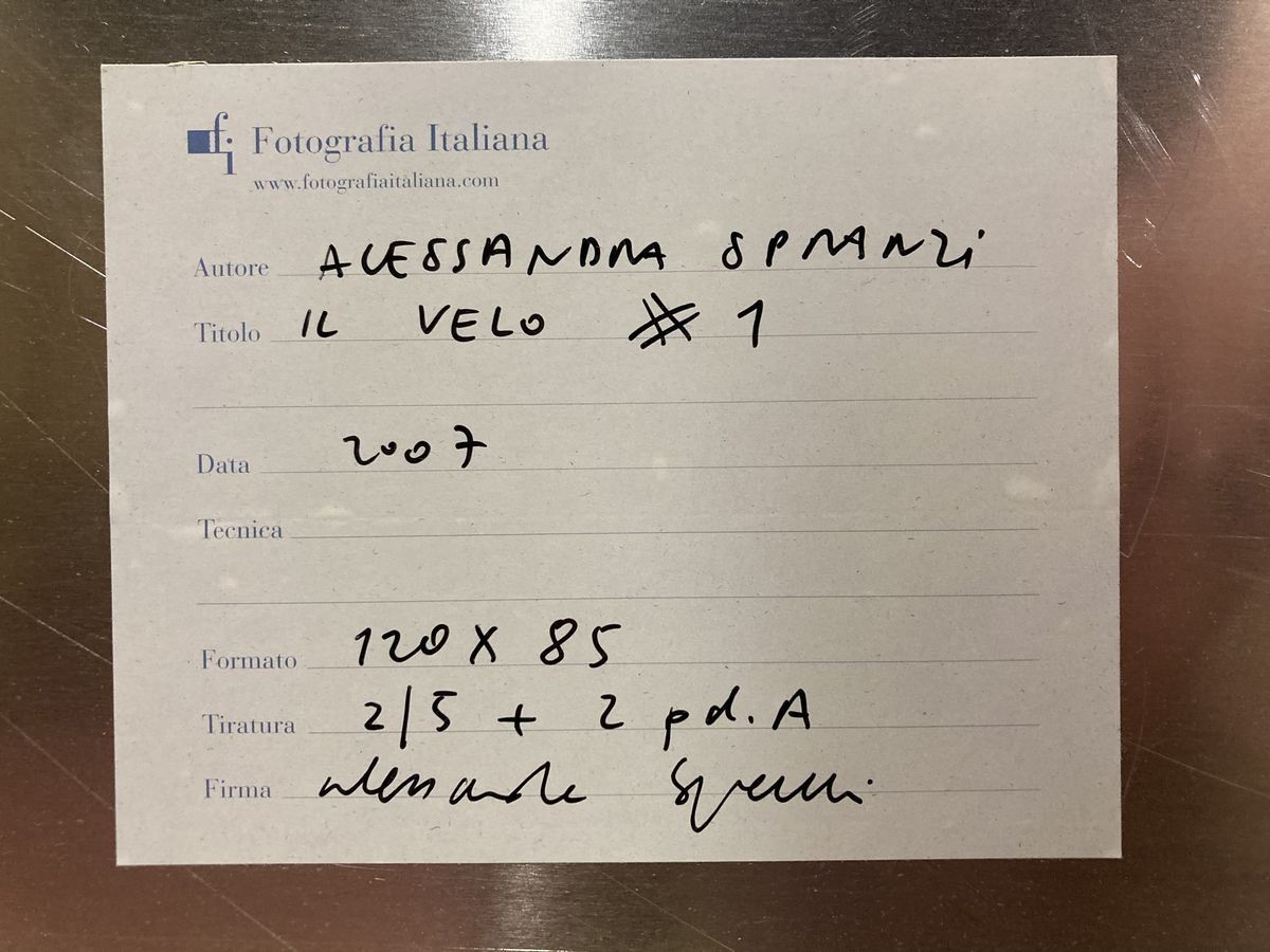 Alessandra Spranzi - Il Velo #1