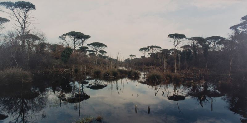 Paolo Bernabini - Pineta '96