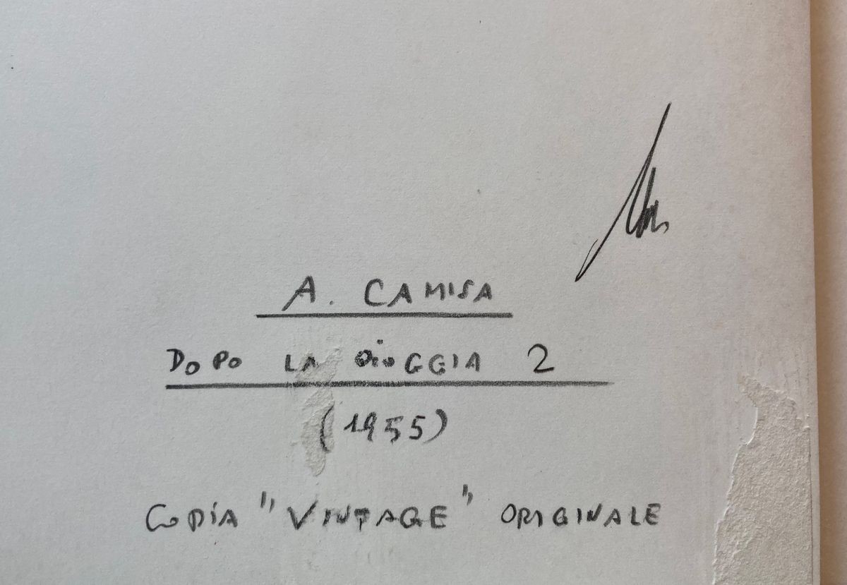 Alfredo Camisa - Dopo la Pioggia 2