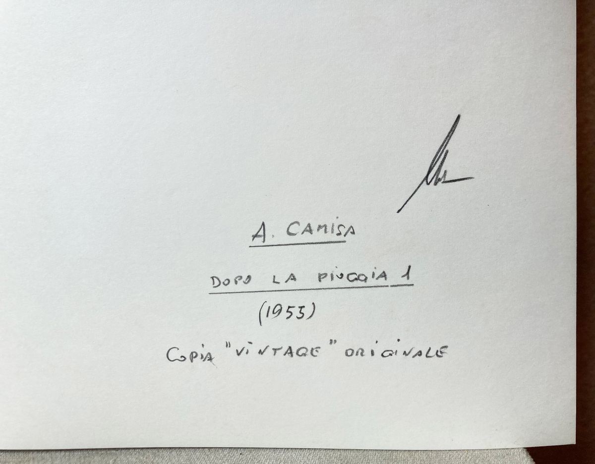 Alfredo Camisa - Dopo la Pioggia 1