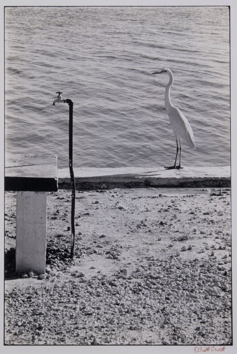 Elliott Erwitt - Florida Keys