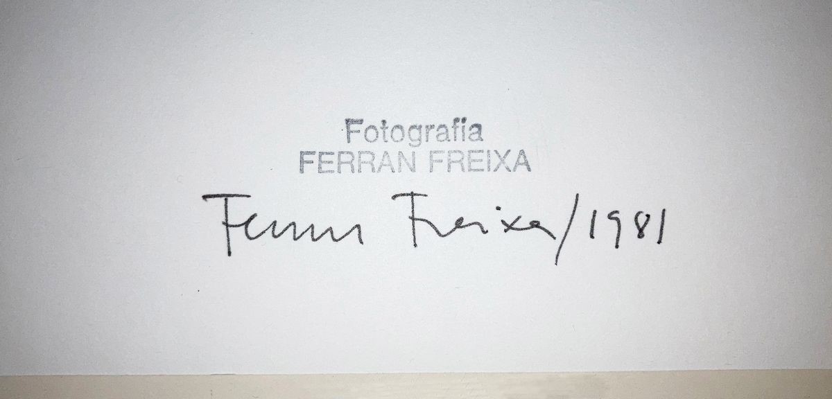 Ferran Freixa - Venecia