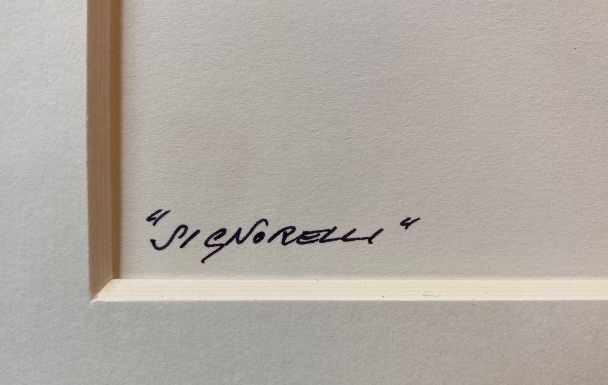 Paolo Gioli - Signorelli