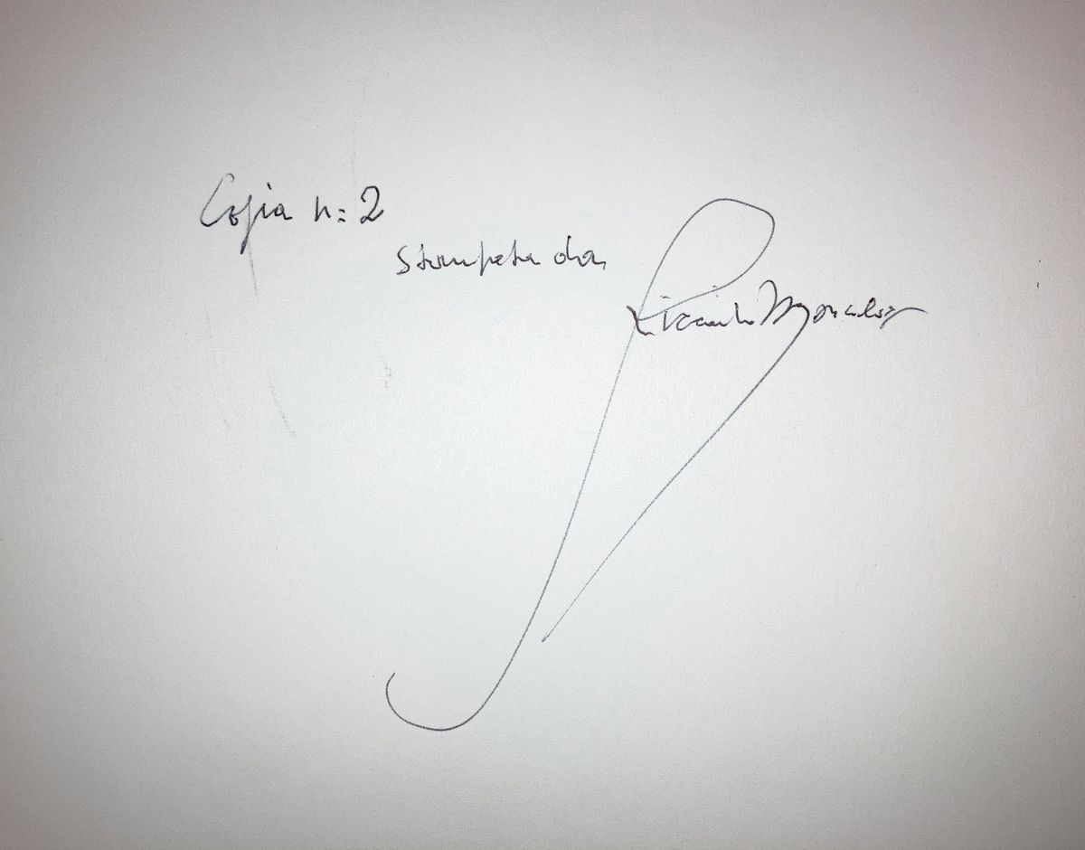 Riccardo Moncalvo - Alla Sacra di San Michele (scalinata)