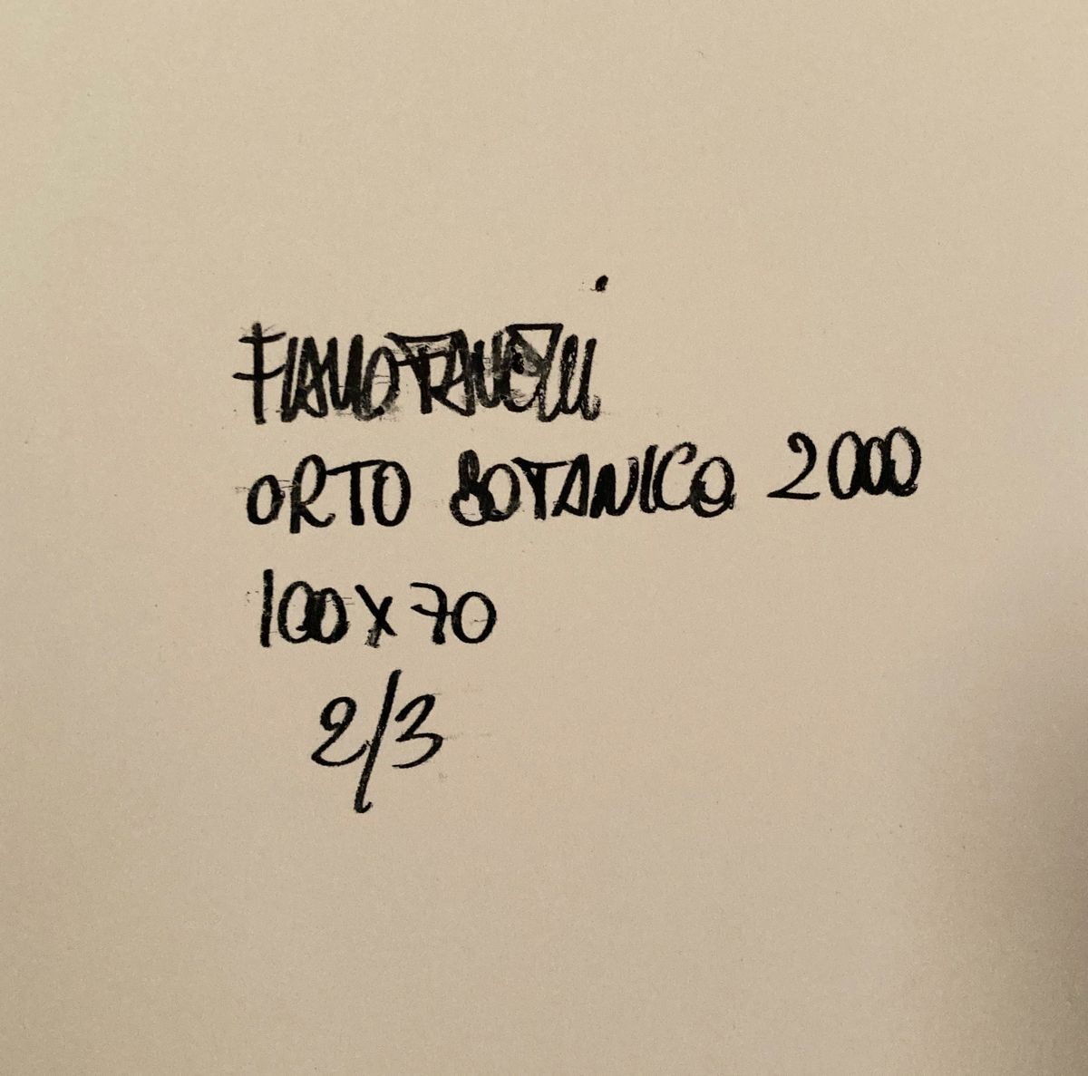 Flavio Favelli - Orto Botanico