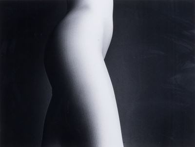 Torso