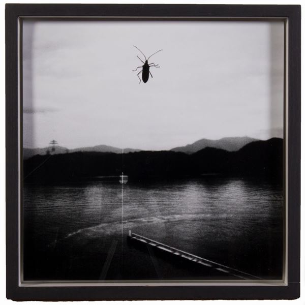 Sharon Formichella - Dalla serie «Dreamed in Japan»