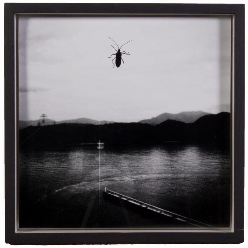 Sharon Formichella - Dalla Serie «dreamed in Japan»
