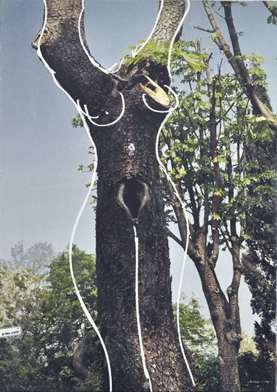 Nudo En Plein Air