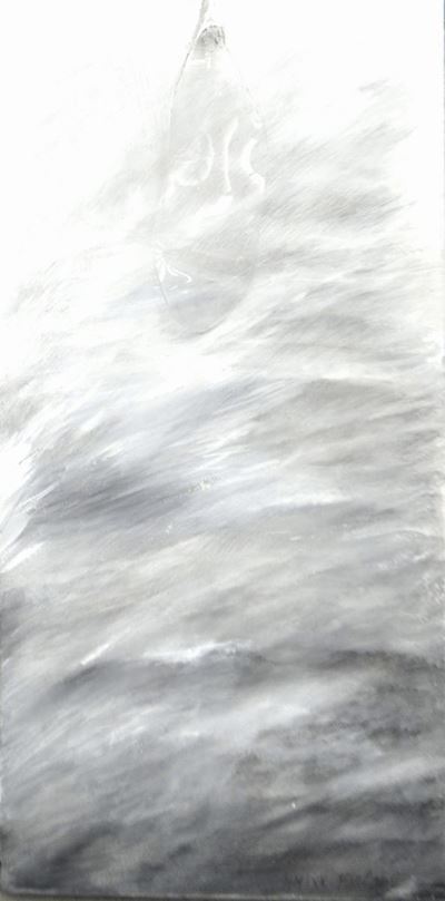 Singolarità