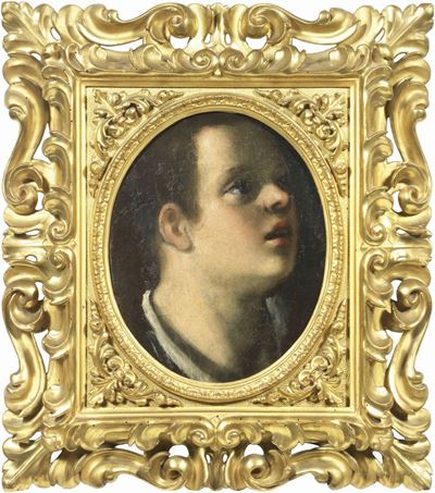 Studio di Volto di Giovane