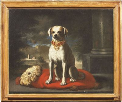 Ritratto di Cane con Cuscino Rosso