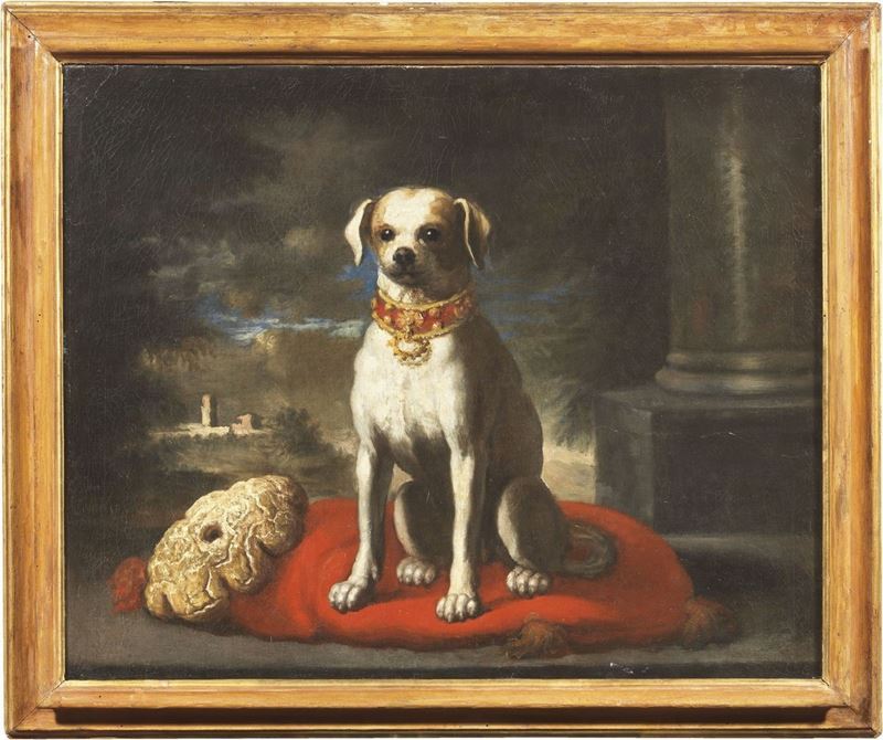 Scuola Fiorentina del XVII Secolo - Ritratto di Cane con Cuscino Rosso