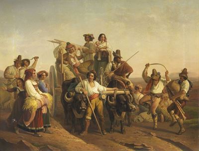 La Mietitura Nell'agro Pontino