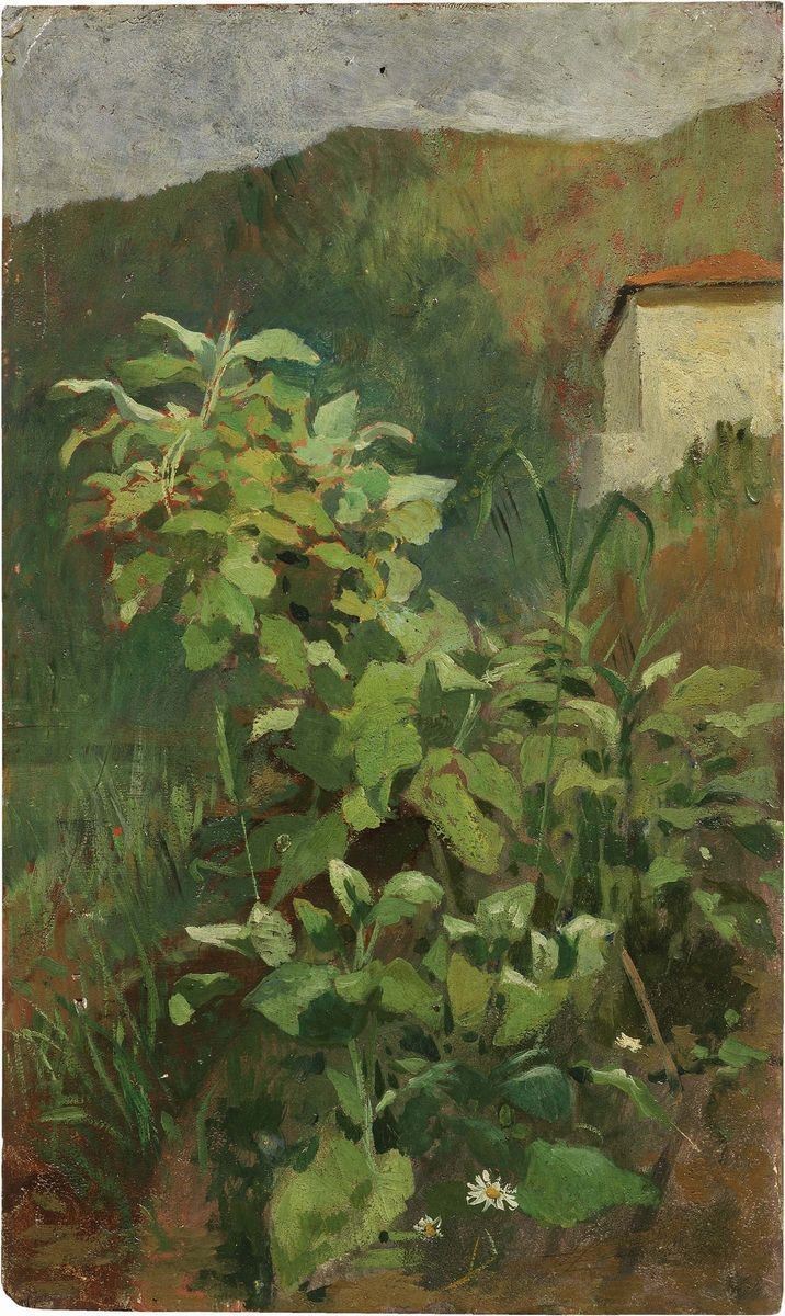 Eugenio Cecconi - Angolo di Giardino
