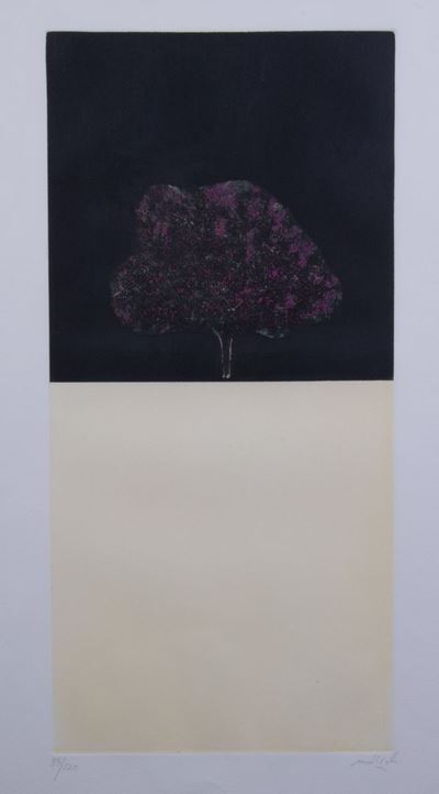 Una Grafica e un Libro