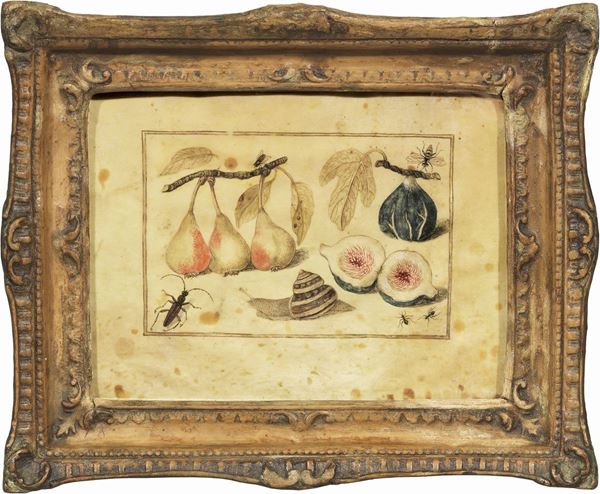 Scuola fiamminga del XVII secolo - «Natura morta con frutti e insetti» e «Natura morta con frutti, lucertola e farfalla»