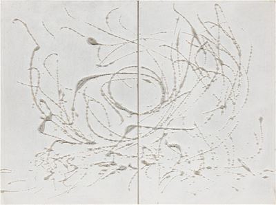 Flusso Armonico
