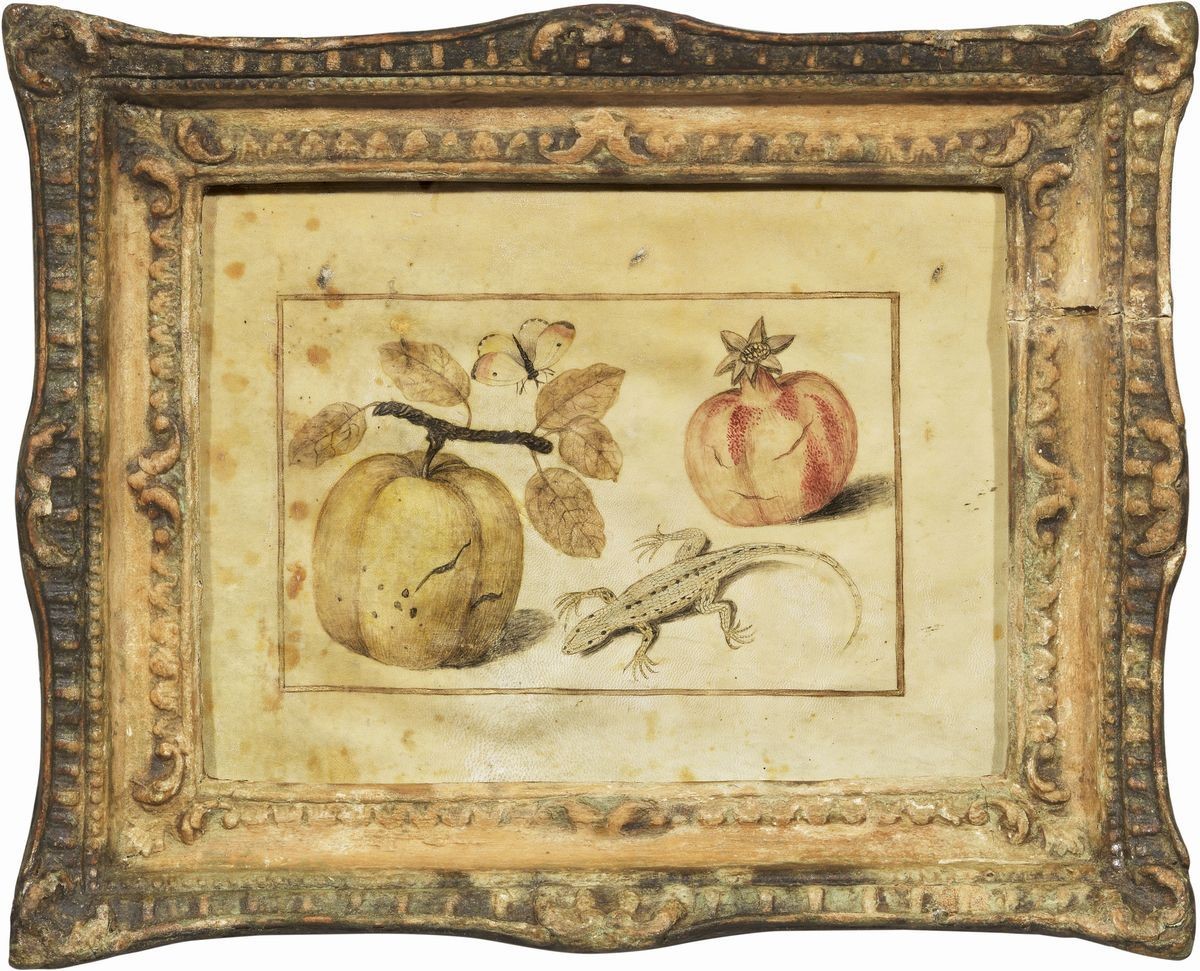 Scuola Fiamminga del XVII Secolo - «natura Morta con Frutti e Insetti» e «natura Morta con Frutti...