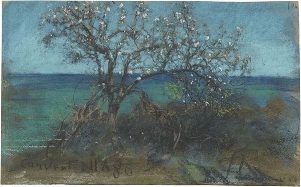 Paesaggio con albero fiorito