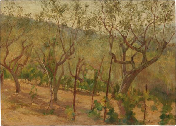 Armando Spadini - Uliveto nella collina pistoiese