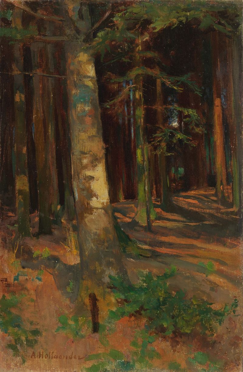 Alfonso Hollaender - Bosco