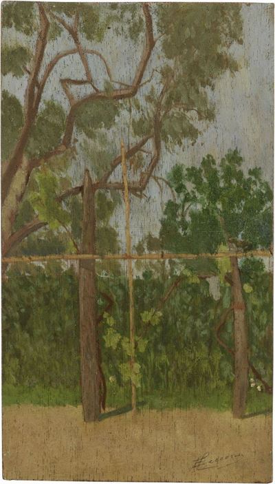 Orticello