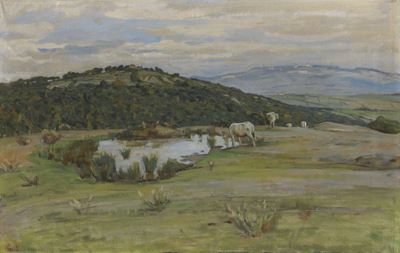 Pelago