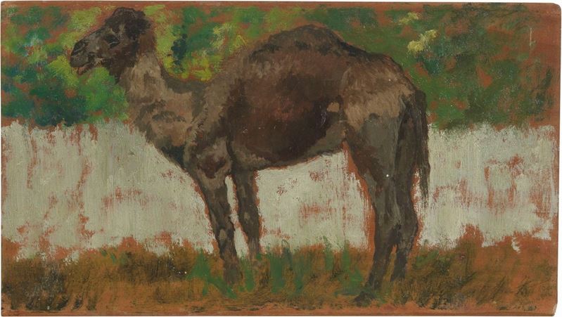 Giovanni Fattori - Il Dromedario