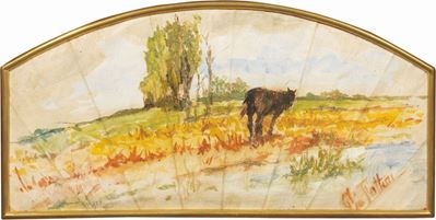 Cavallino