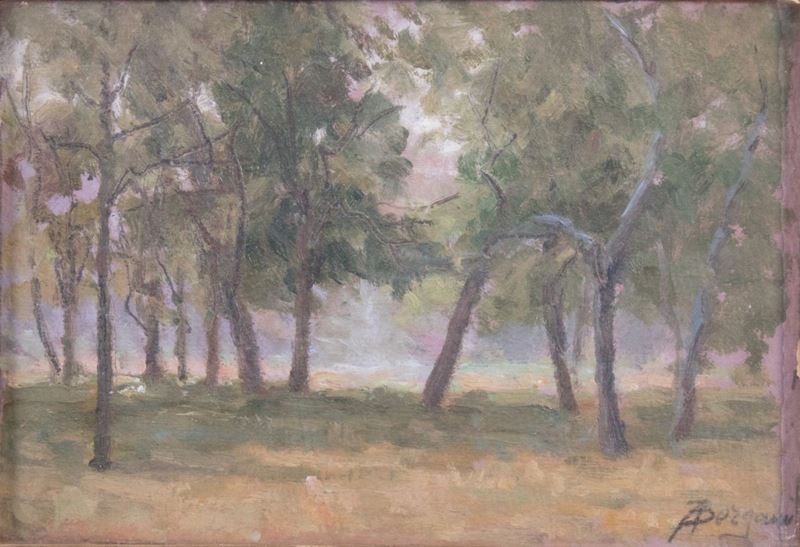 Ignoto del XX Secolo - Parco
