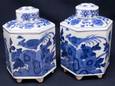Coppia di Vasi Esagonali in Porcellana Bianco Blu