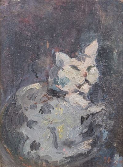 Gatto
