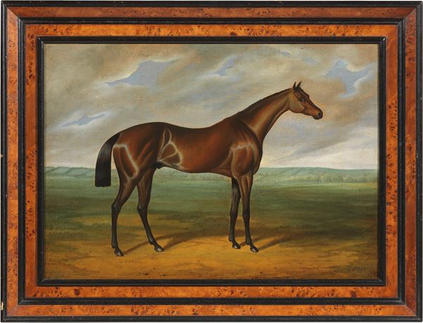 Scuola inglese del XIX secolo : Cavallo  - Olio su tela - Asta Importanti Sculture e Dipinti Antichi - I - Casa d'aste Farsettiarte