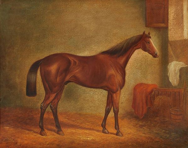 Scuola inglese fine XIX secolo : Cavallo  - Olio su tela - Asta Importanti Sculture e Dipinti Antichi - I - Casa d'aste Farsettiarte