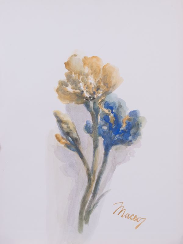 Maceo Casadei : Iris gialli e blu  - Acquerello su carta - Asta PARADE III - ARTE MODERNA, CONTEMPORANEA E GRAFICA - Casa d'aste Farsettiarte