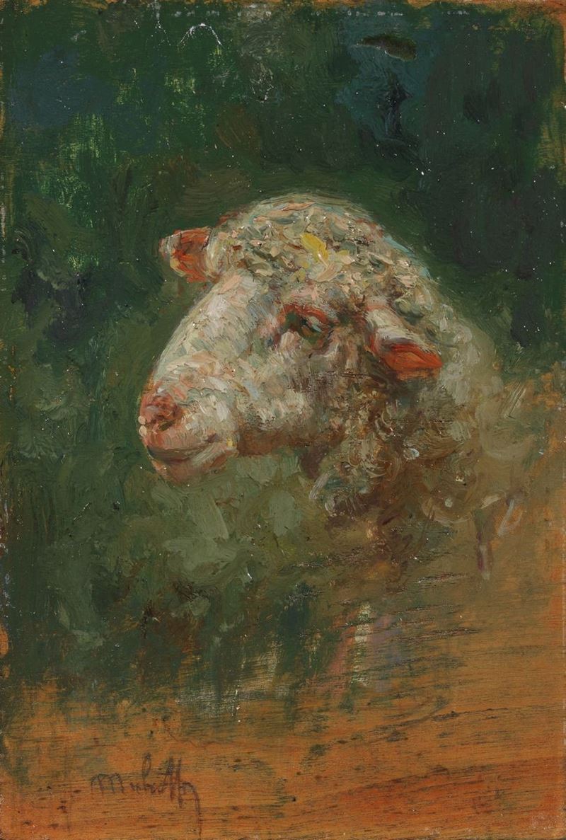 Francesco Paolo Michetti - Testa di Pecora