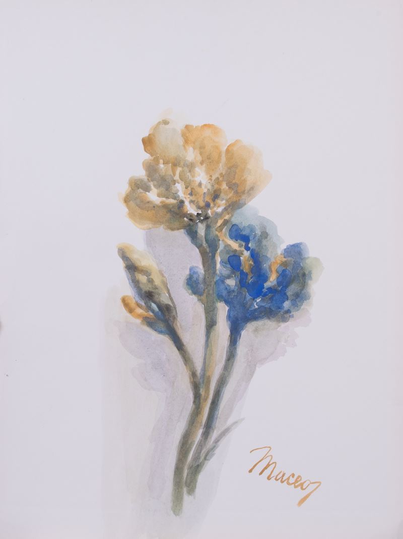 Maceo Casadei - Iris Gialli e Blu