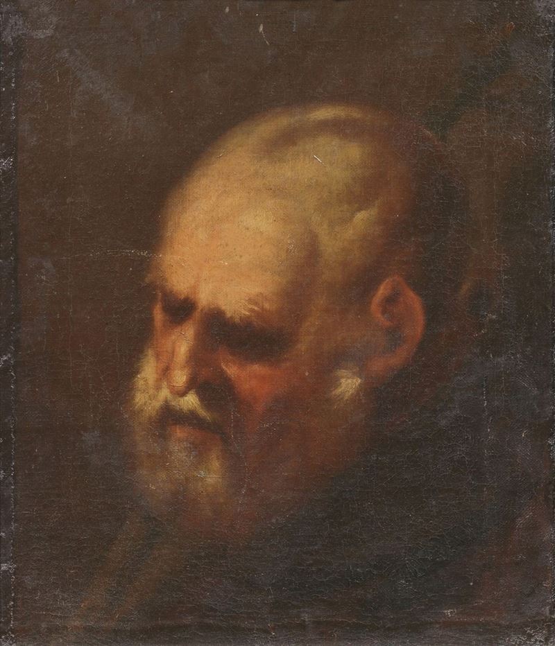 Scuola Genovese del XVII Secolo - Testa di Vecchio