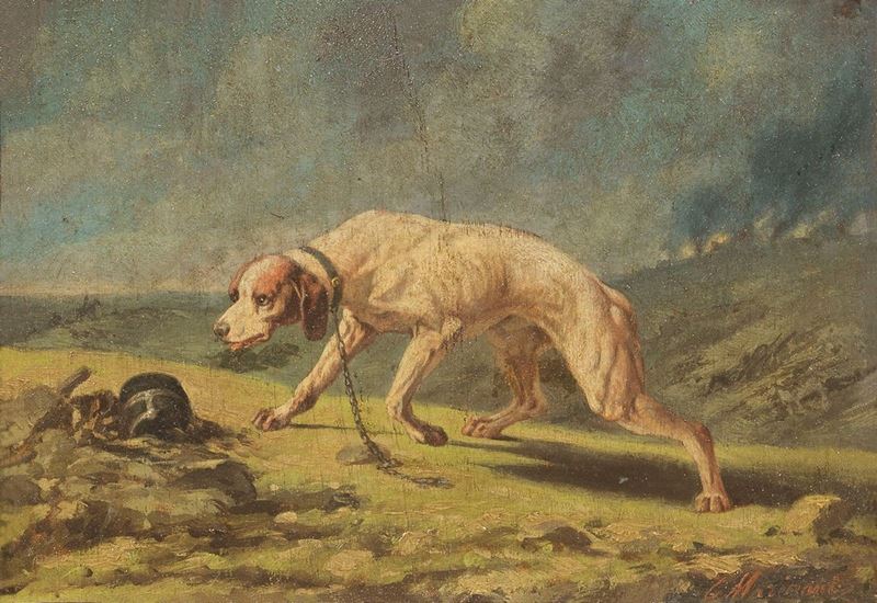 Scuola Italiana del XIX Secolo - Cane da Caccia