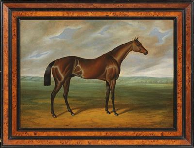 Cavallo