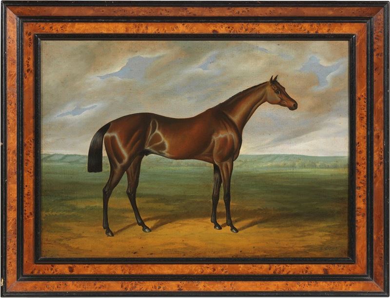 Scuola Inglese del XIX Secolo - Cavallo