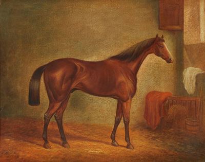 Cavallo